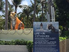 -白沙湾海滩