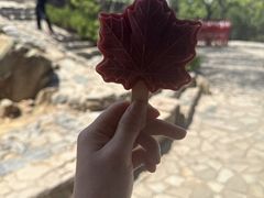 -香山公园-东宫门售票处