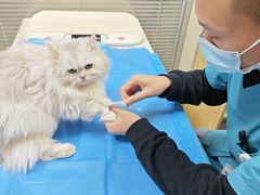 -芭比堂宠物医院·全科爱猫医院·仁德分院