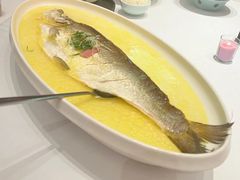 -森隆饭庄(新世界百货崇文店)