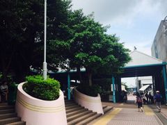 iphone_upload_pic-中环4号渡轮码头