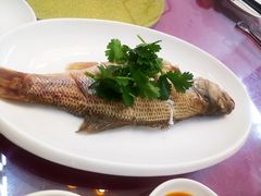 鱼饭-吴祥记潮州菜·百年老字号·砂锅粥