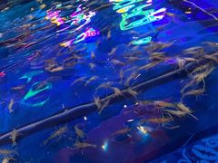 -钳真多钓虾馆·小龙虾海鲜烧烤(九六广场店)