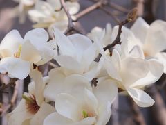 -常熟路(地铁站)