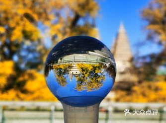 手拿着拍照武器，找好角度，抢先拍下五塔的绝美瞬间