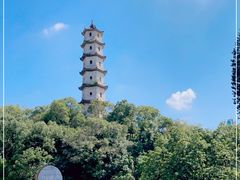 -江心屿景区