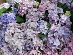 -北京植物园-展览温室