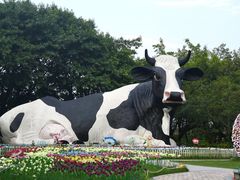 -光明农场大观园