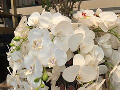 -南堂馆·新川菜(天府三街店)