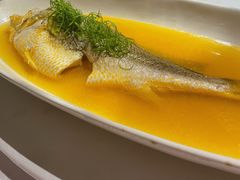 鸡油蒸黄鱼-玫瑰厅上海菜(兴国路店)