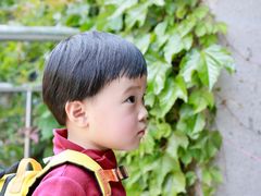 -呆住二更日本料理