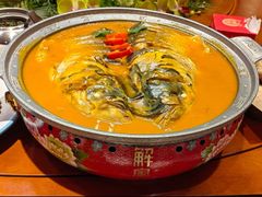 -解家河南菜(商鼎路店)