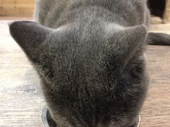 -小时光咖啡馆(开森度假森林店)