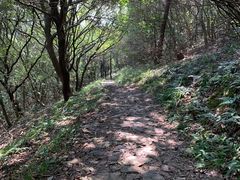 -龙寺生态园
