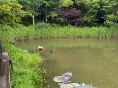 -天目湖山水园