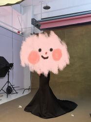 -鼎极摄影(世纪金源店)