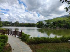 -森波拉奇妙世界