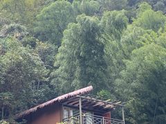 -磐安十八涡风景区