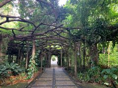 -广西壮族自治区药用植物园