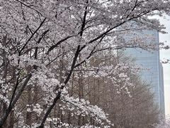 -南京明基医院