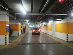 -首都医科大学附属北京天坛医院