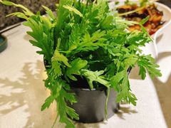 -新辣道鱼火锅(上地华联店)