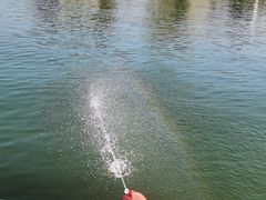 -鹅湖玫瑰文化园