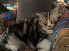 -咖法森林·咖啡  酒吧(天河店)