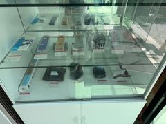 -沈坚强游泳俱乐部(武宁南路店)