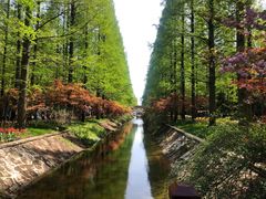 -东平国家森林公园