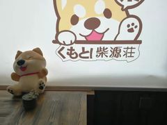 -柴源莊·柴小宠柴犬咖啡