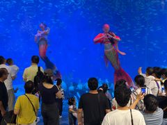 -合肥海洋世界