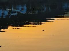 -渔梁坝