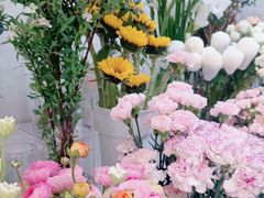 -淘花源花艺鲜花店 开业花篮 绿植(南部商务区店)
