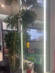 -木北造型