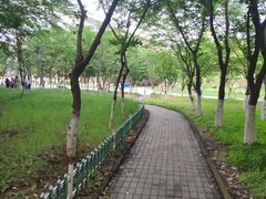 -南京外国语学校(仙林分校西区)