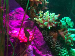 -沈阳海洋探索中心