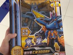 -TOYSRUS玩具反斗城(厦门中华城店)