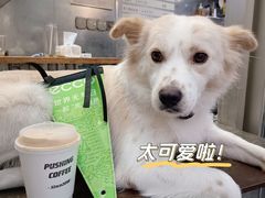 -Pushing Coffee(茂名路店)