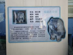 -青藏高原野生动物园