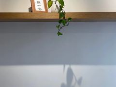 -团子君寿司·茶