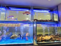 -南海渔村(珠江新城店)
