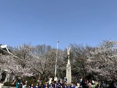-武汉大学-樱园
