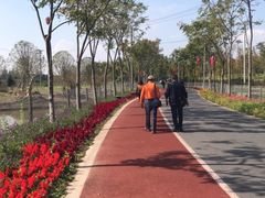 -上海长兴岛郊野公园