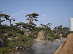 -罗红摄影艺术馆