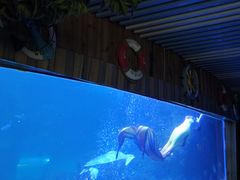 -左海海底世界