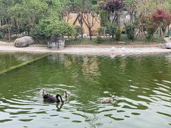 -成都动物园