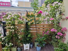 -满月蛋糕定制·商务茶歇·diy课程(万达广场店)