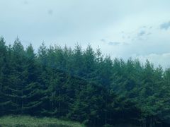 -草原天路(张北县)