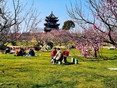 -上海海湾国家森林公园